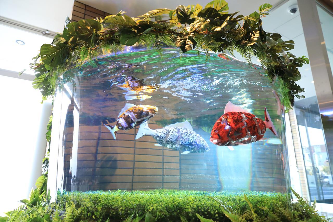 Henn Na Hotel Maihama Tokyo Bay Urajaszu Kültér fotó